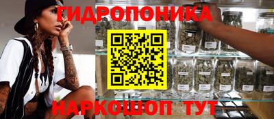 альфа пвп Аргун